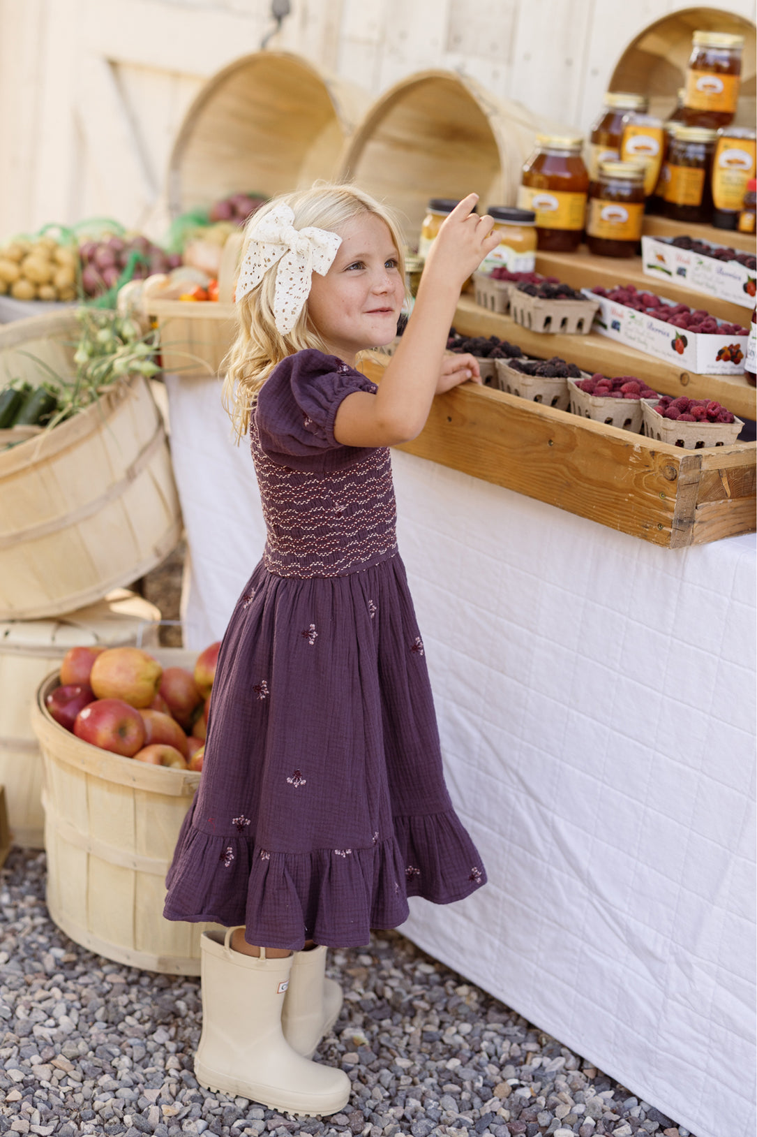 Mini Acantha Dress in Aubergine Embroidered Gauze