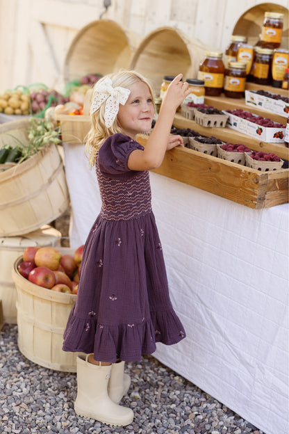 Mini Acantha Dress in Aubergine Embroidered Gauze