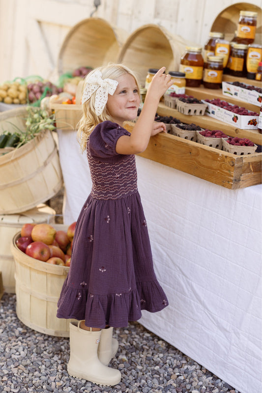 Mini Acantha Dress in Aubergine Embroidered Gauze