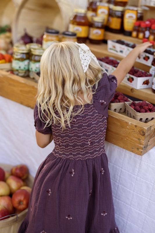 Mini Acantha Dress in Aubergine Embroidered Gauze